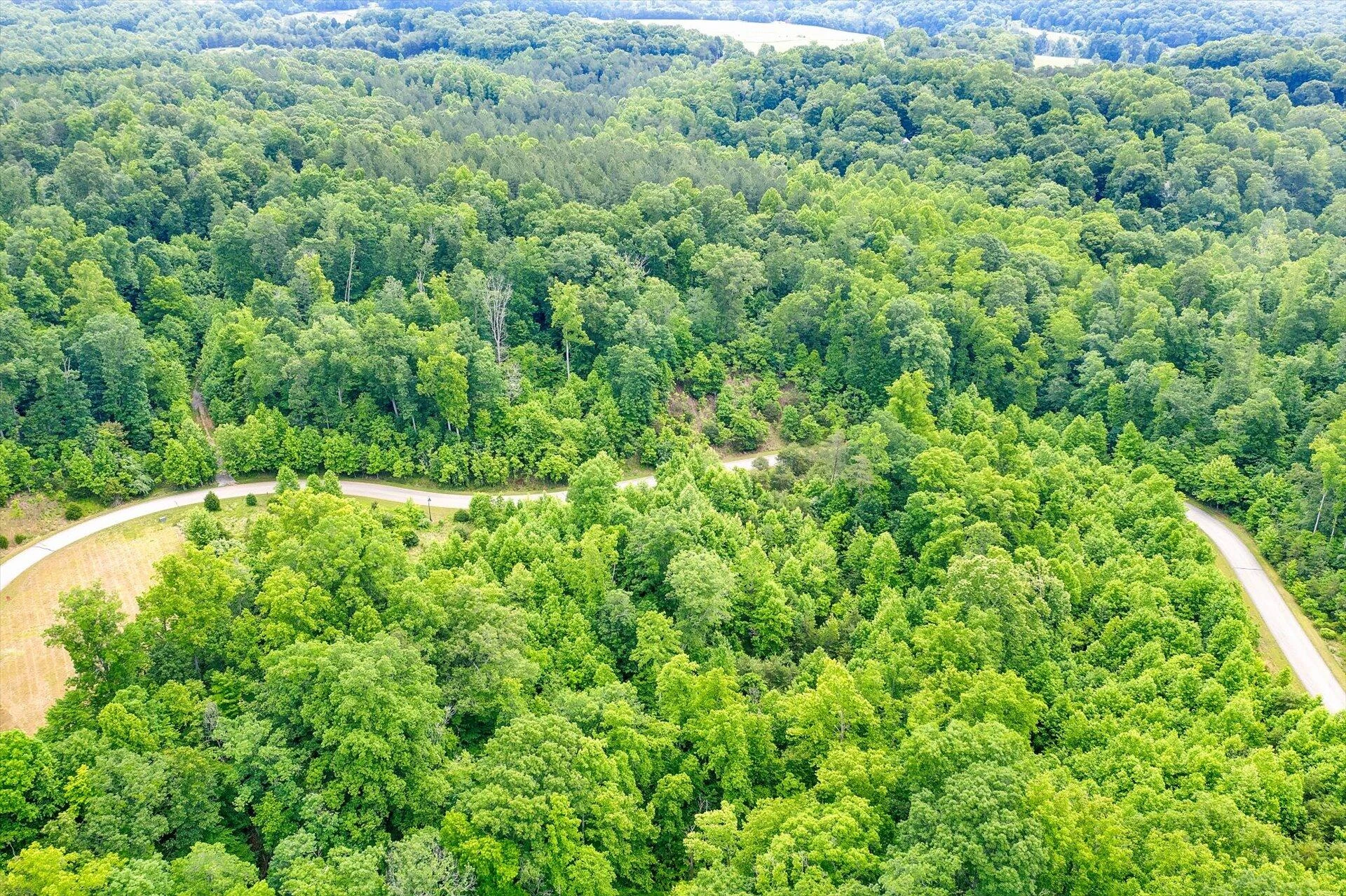 Lot 49 Waterside DR - Photo 12