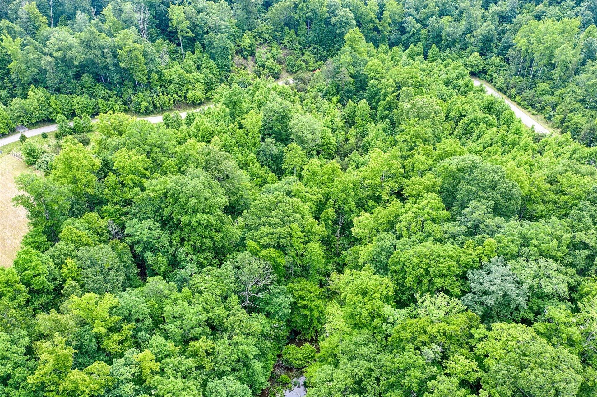 Lot 49 Waterside DR - Photo 13