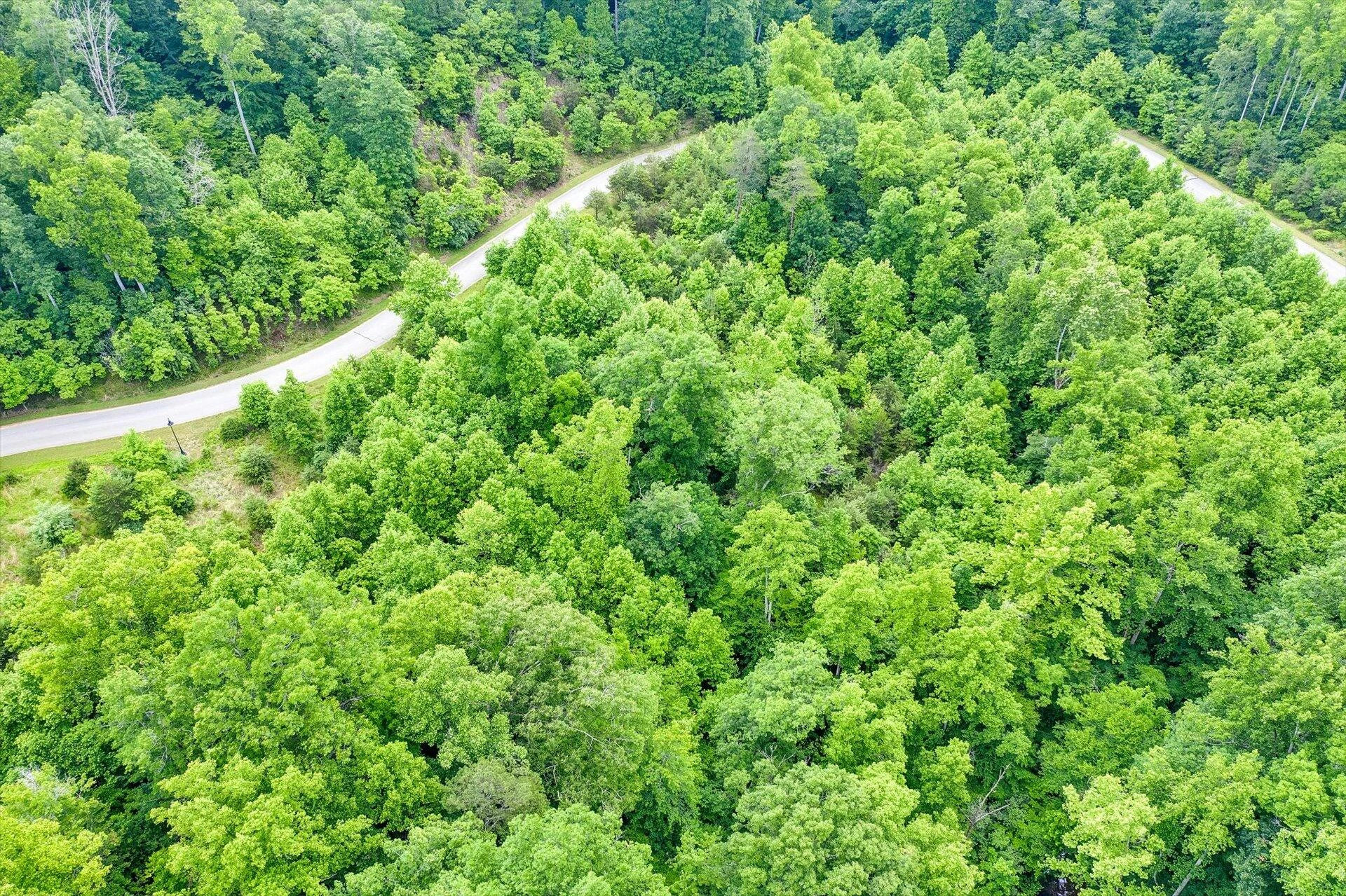 Lot 49 Waterside DR - Photo 15
