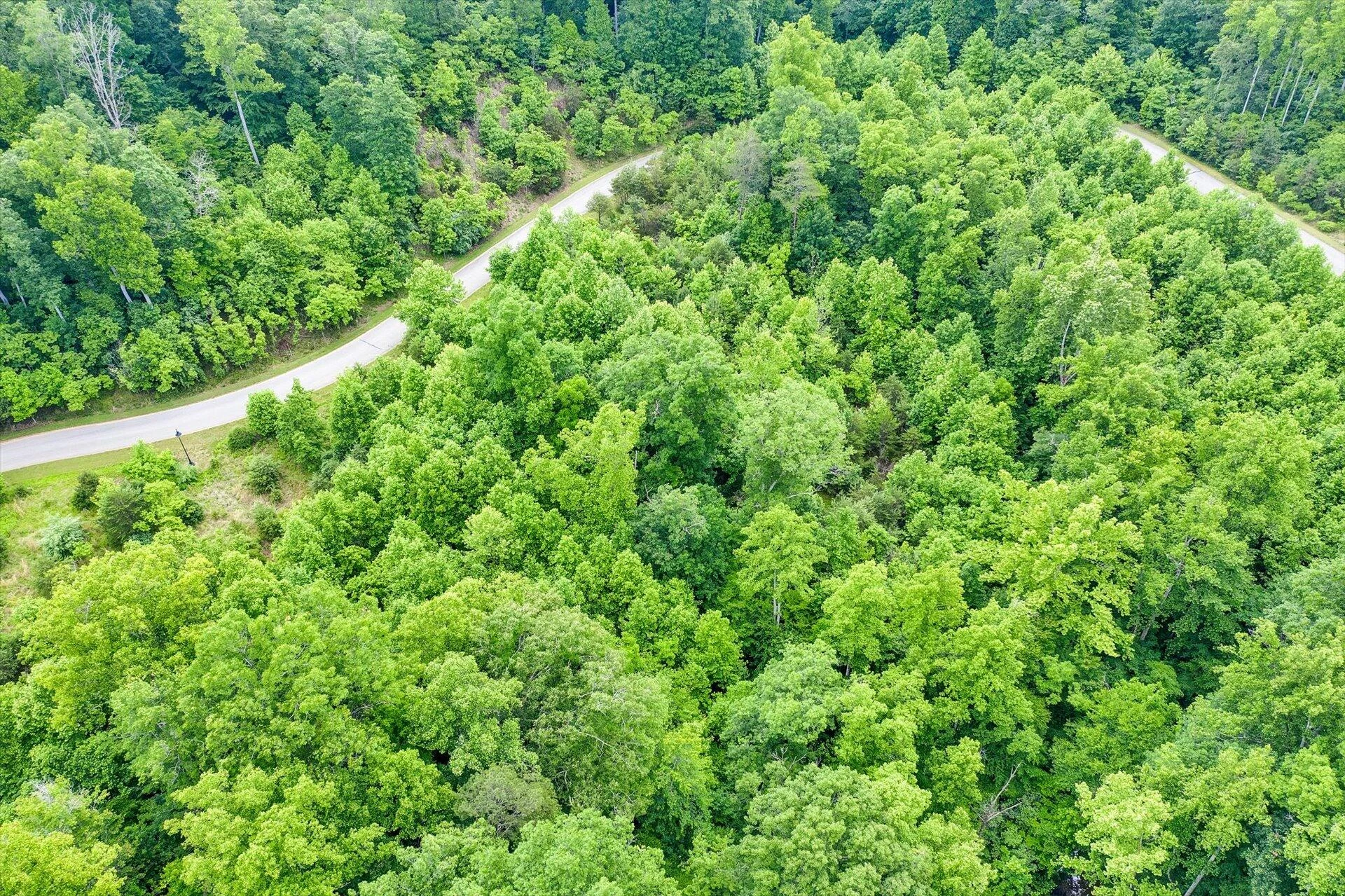 Lot 49 Waterside DR - Photo 16