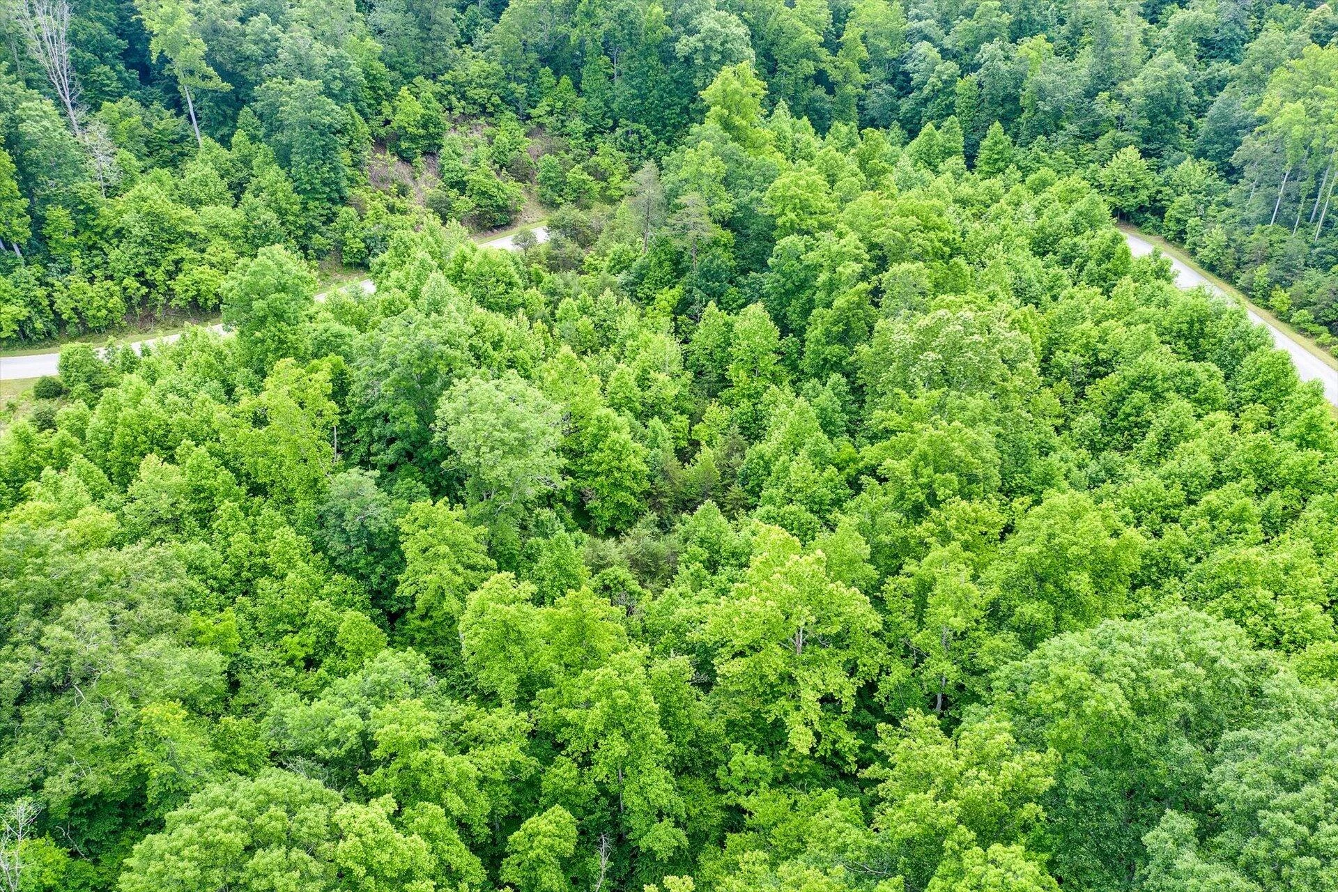 Lot 49 Waterside DR - Photo 18