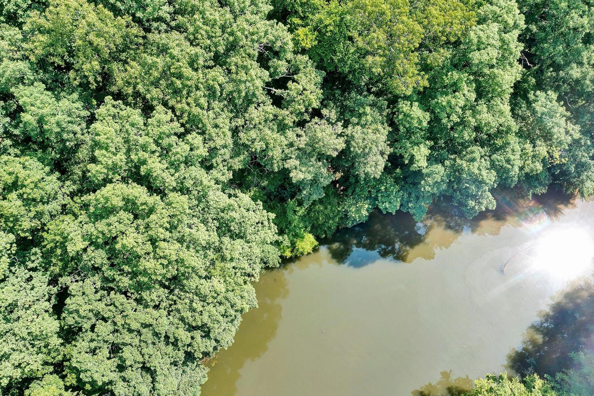 Lot 49 Waterside DR - Photo 7