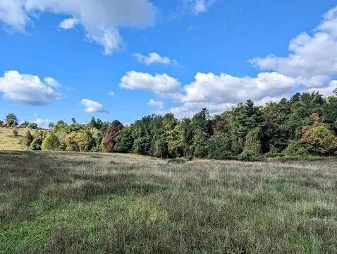 879 Stuart RD - Photo 5