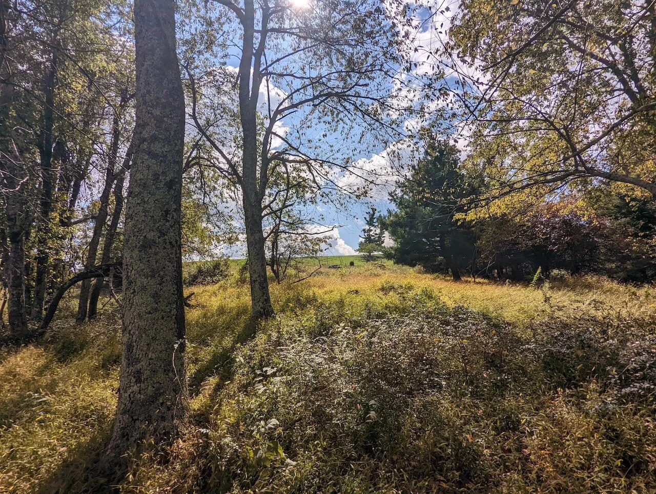 879 Stuart RD - Photo 7