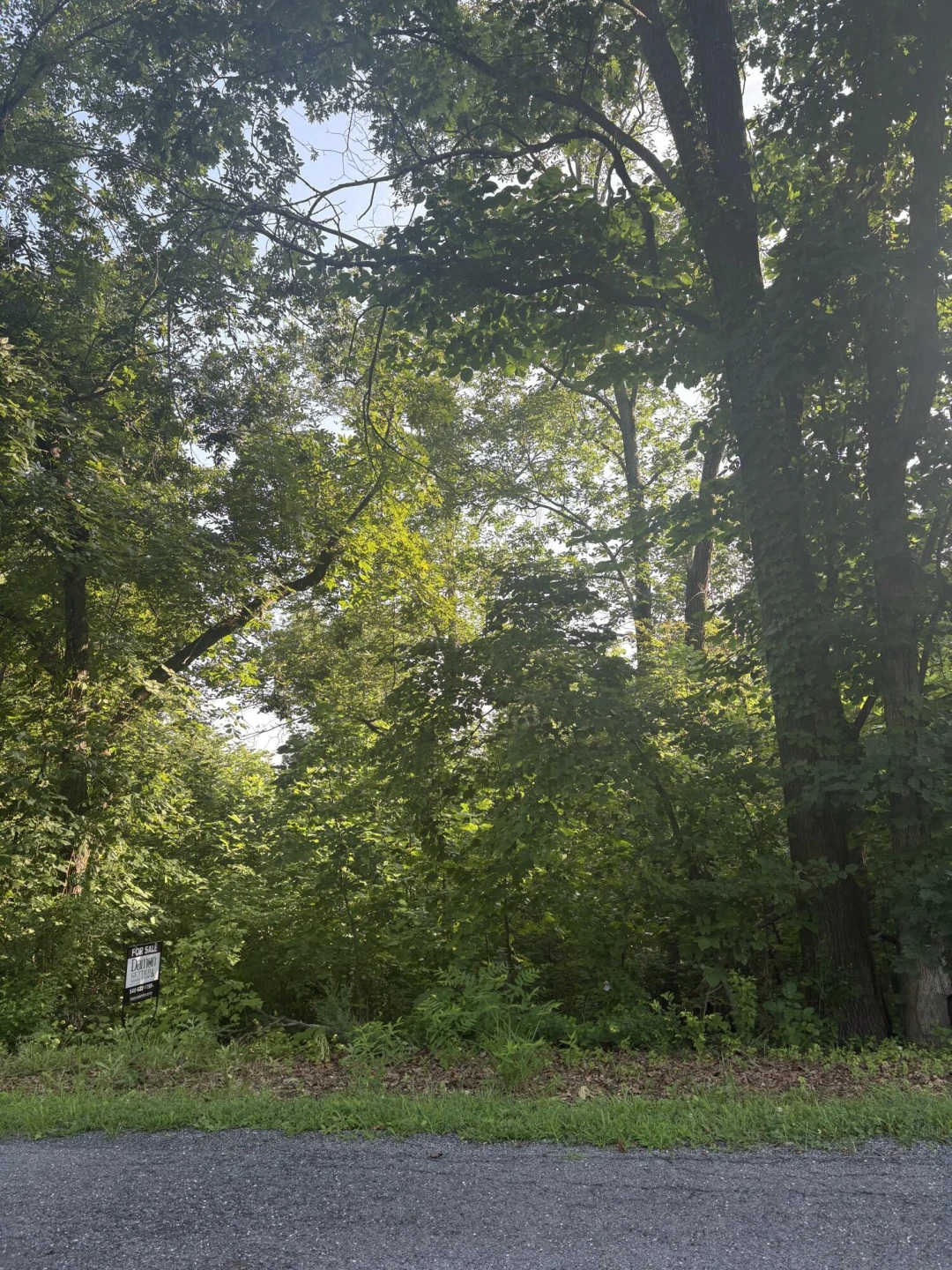 0 Oak Ridge RD - Photo 3