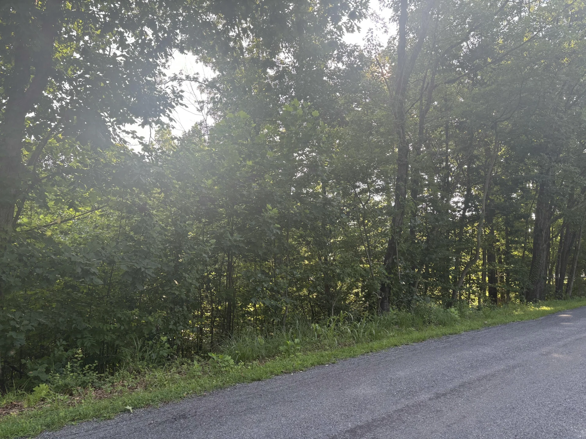 0 Oak Ridge RD - Photo 6