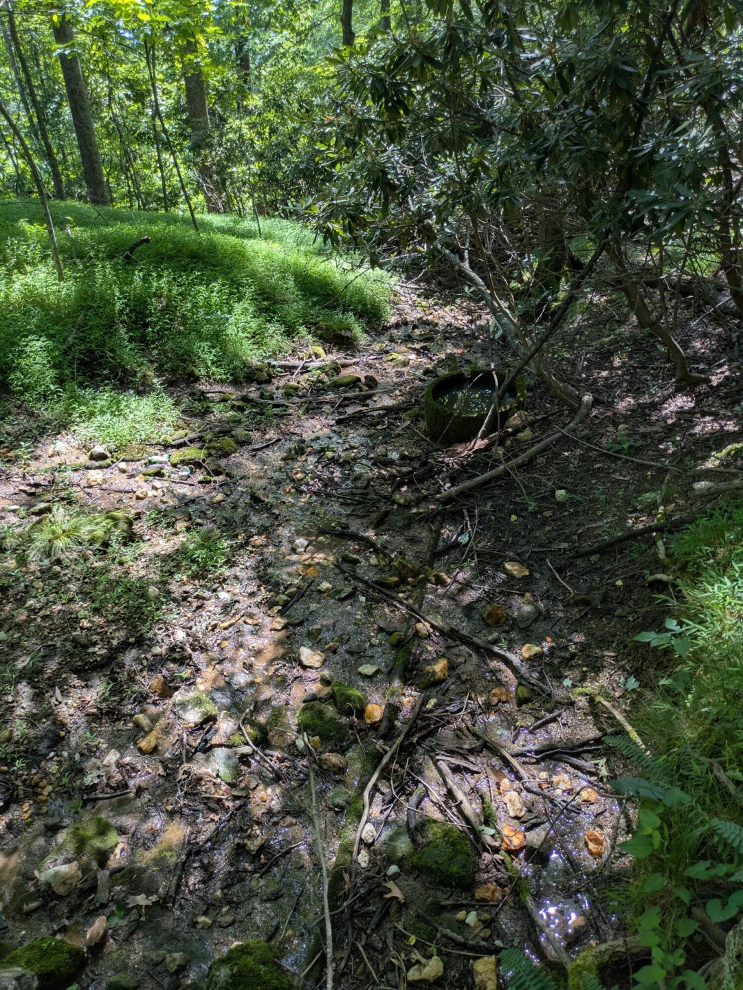 Lot 5 Elk Spur RD - Photo 9