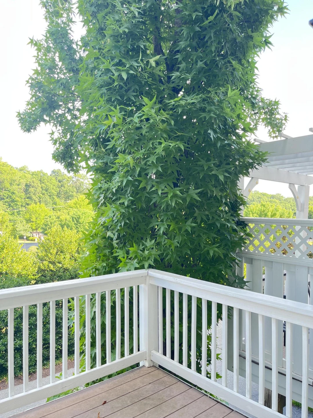 3826 Greenway DR - Photo 27