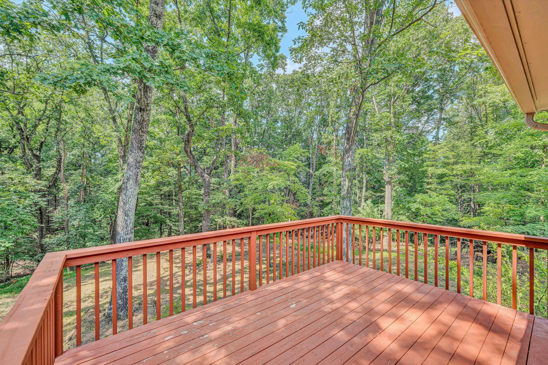 1901 Cantle LN - Photo 28
