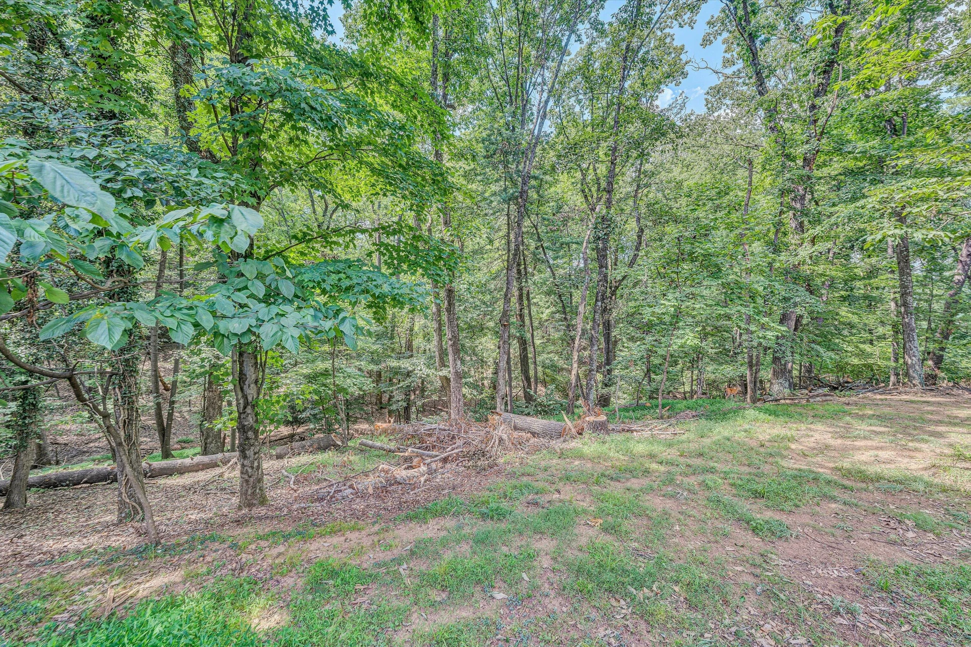 1901 Cantle LN - Photo 49