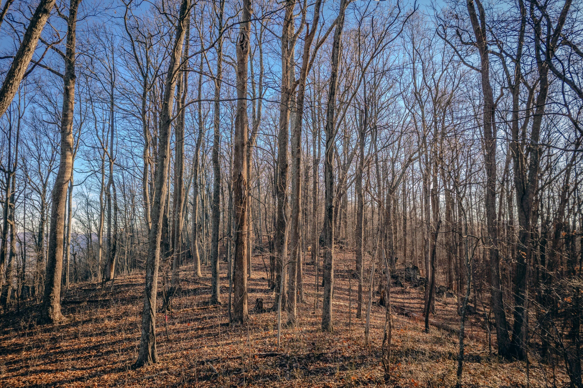 0 Glade Creek RD - Photo 15