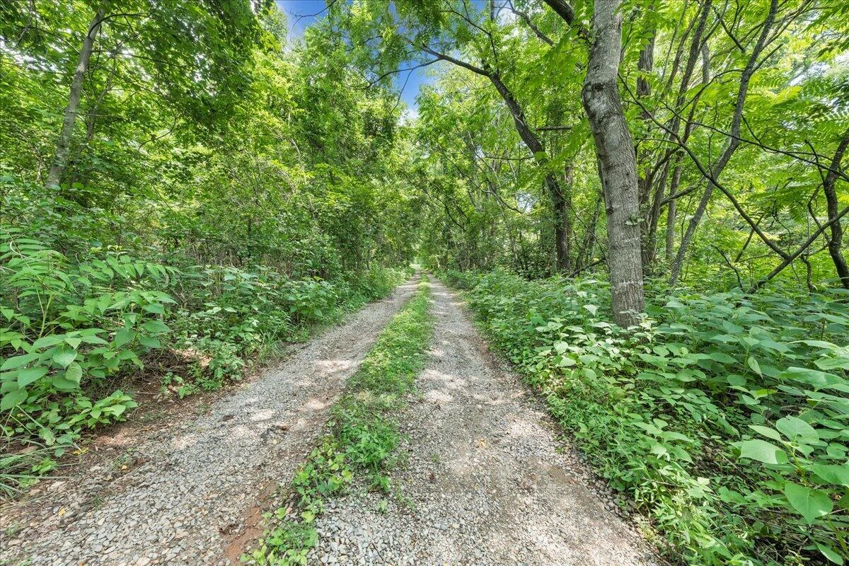 140 Saw Ridge RD - Photo 38