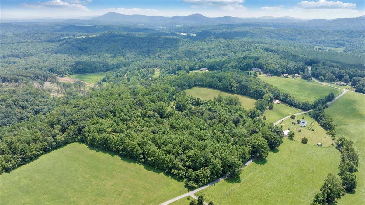 140 Saw Ridge RD - Photo 45