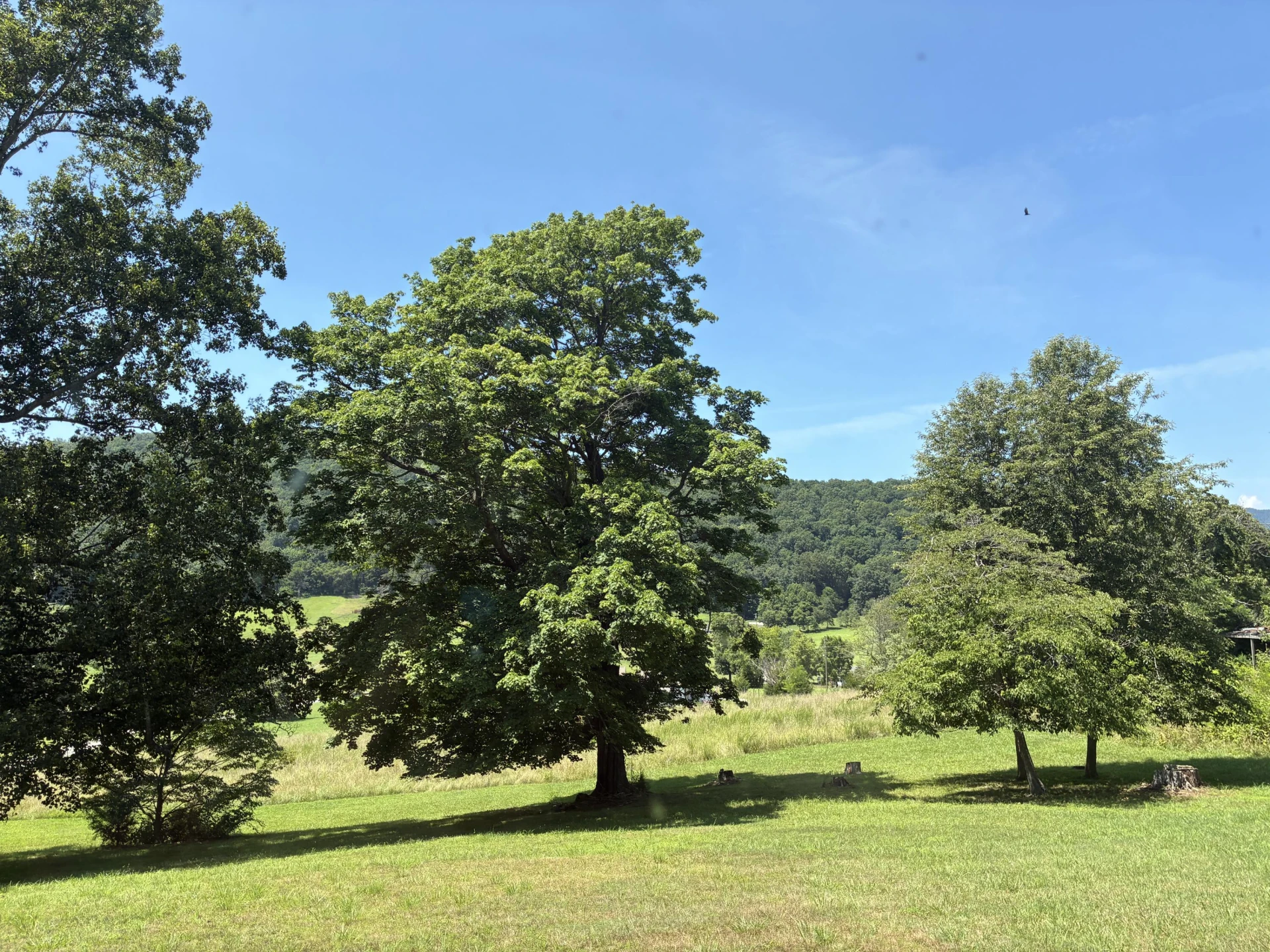 105 Berry Ridge RD - Photo 3