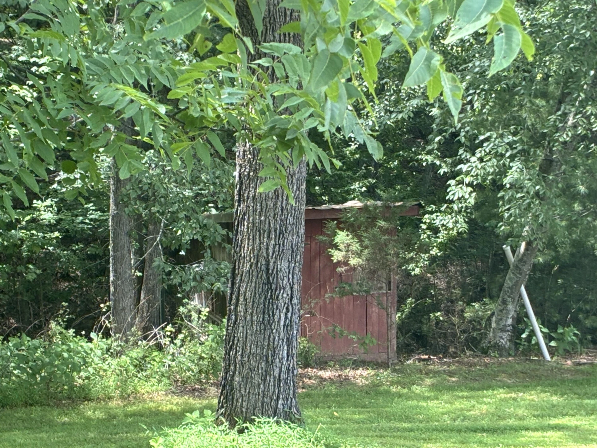 105 Berry Ridge RD - Photo 6