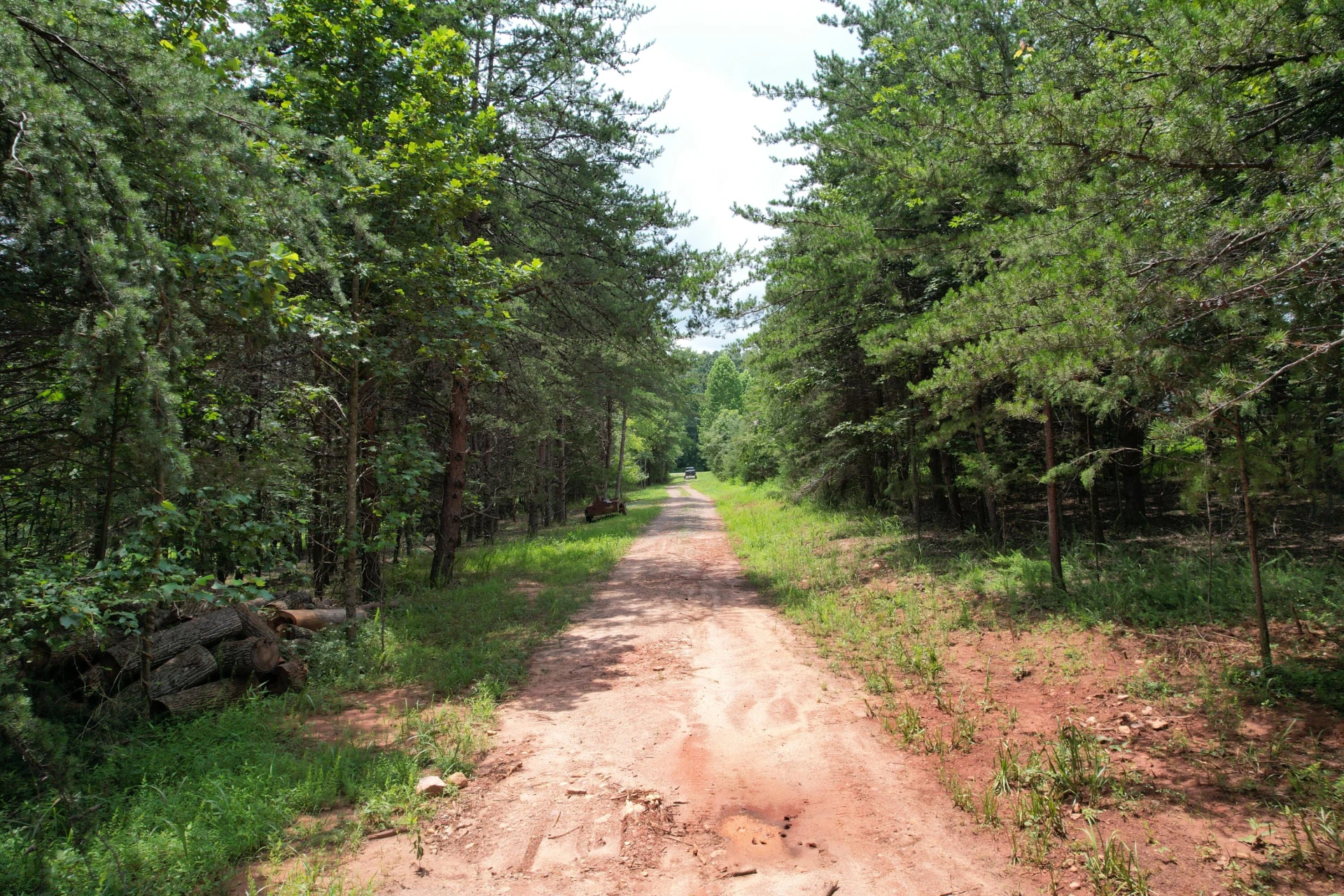 469 Tall Tree RD - Photo 10