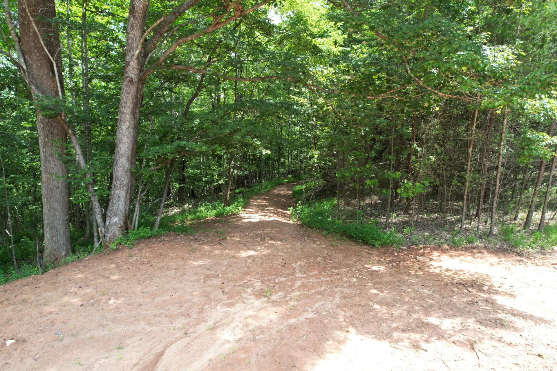 469 Tall Tree RD - Photo 12