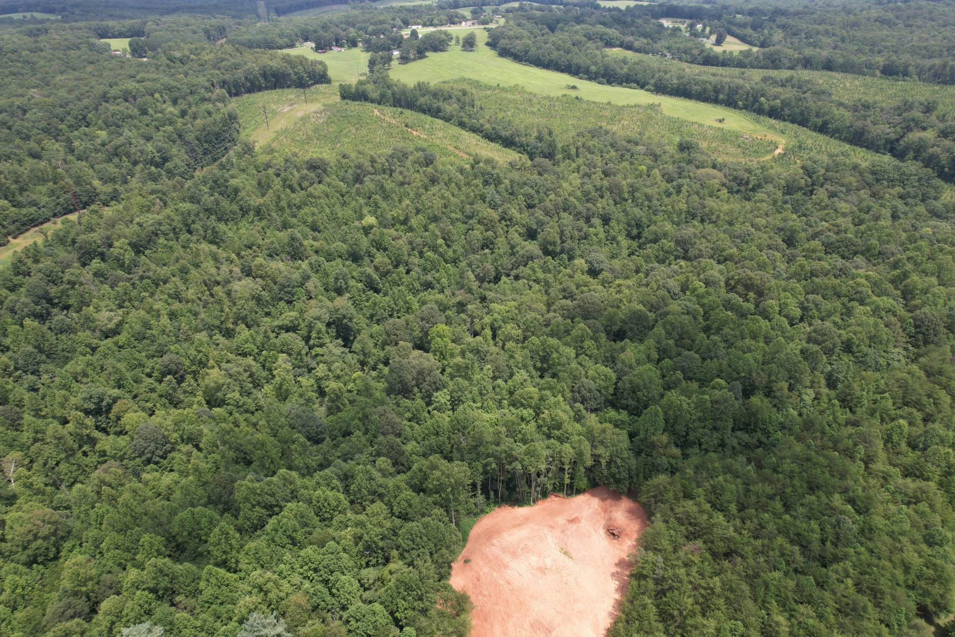 469 Tall Tree RD - Photo 13