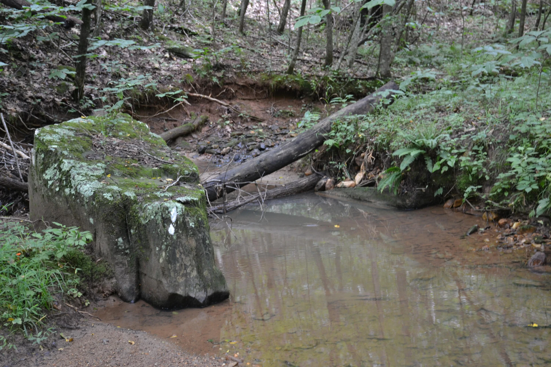 469 Tall Tree RD - Photo 18
