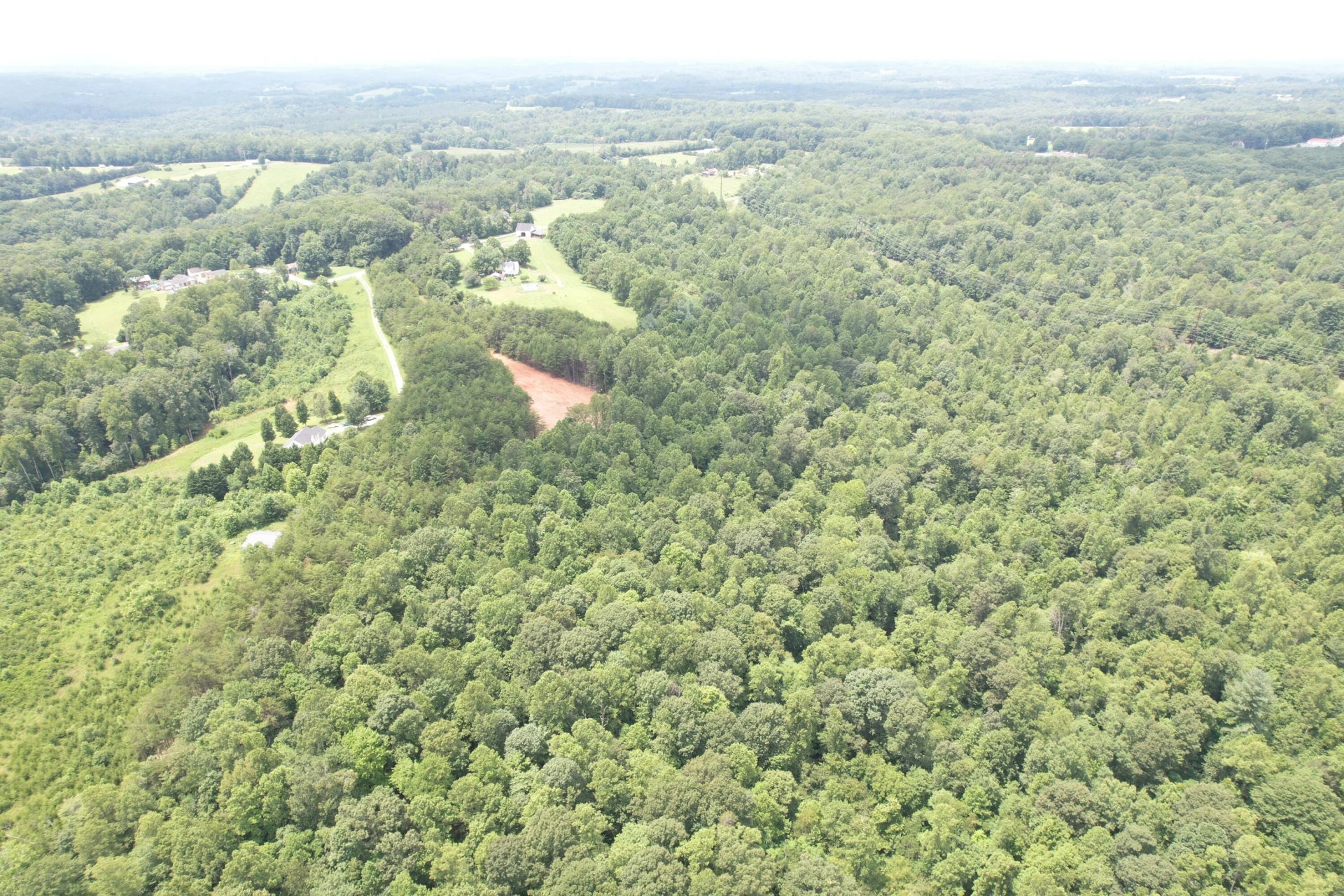 469 Tall Tree RD - Photo 19