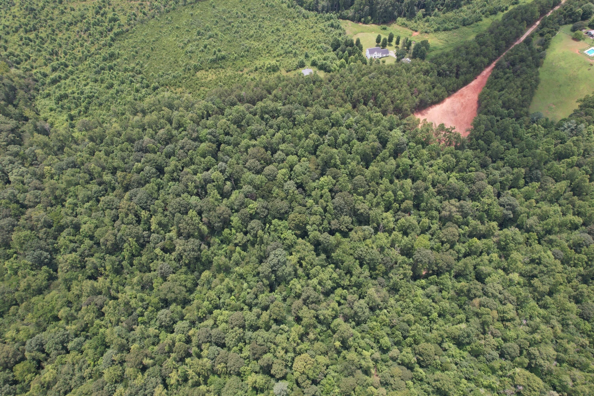 469 Tall Tree RD - Photo 21