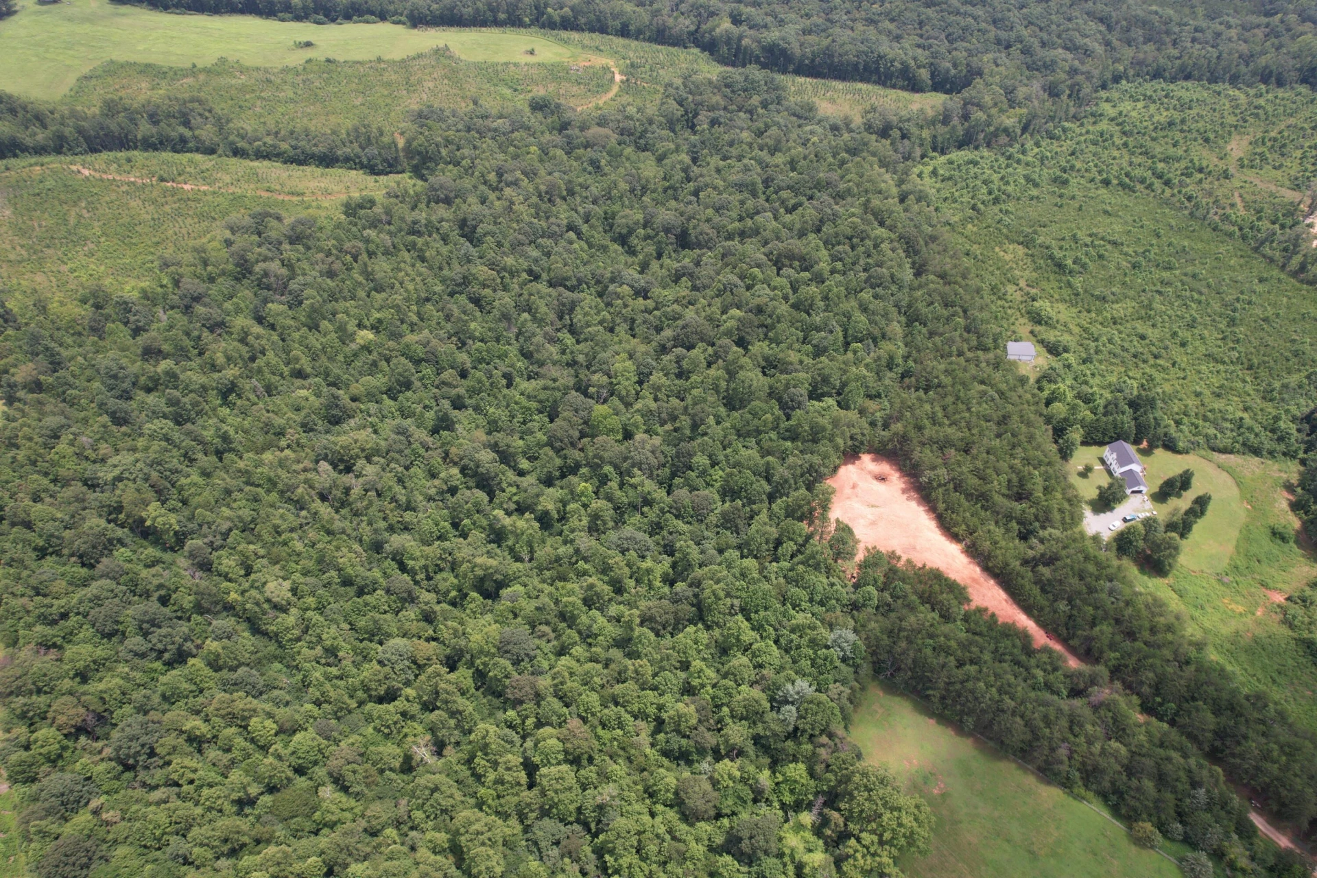 469 Tall Tree RD - Photo 23