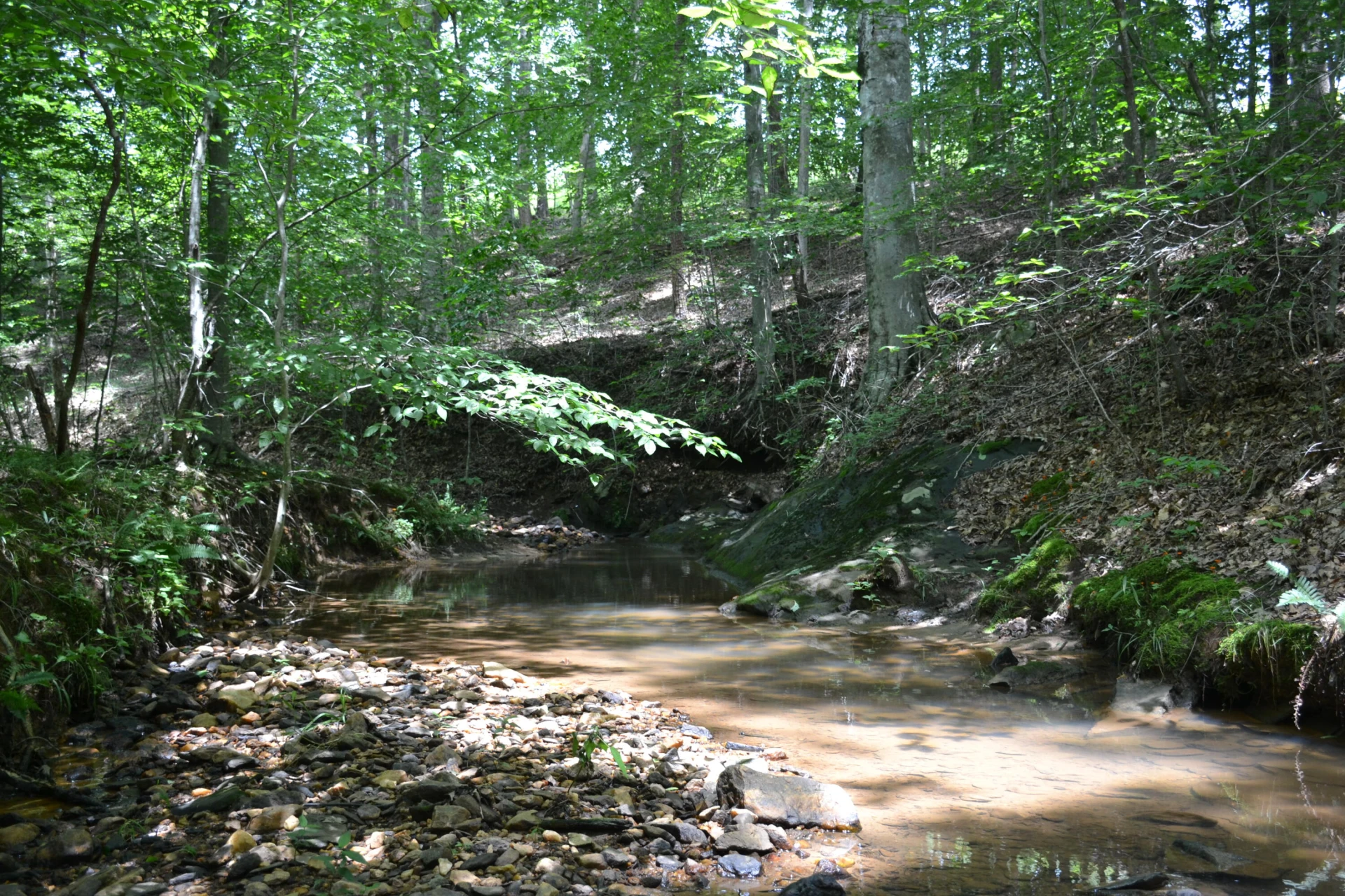 469 Tall Tree RD - Photo 29