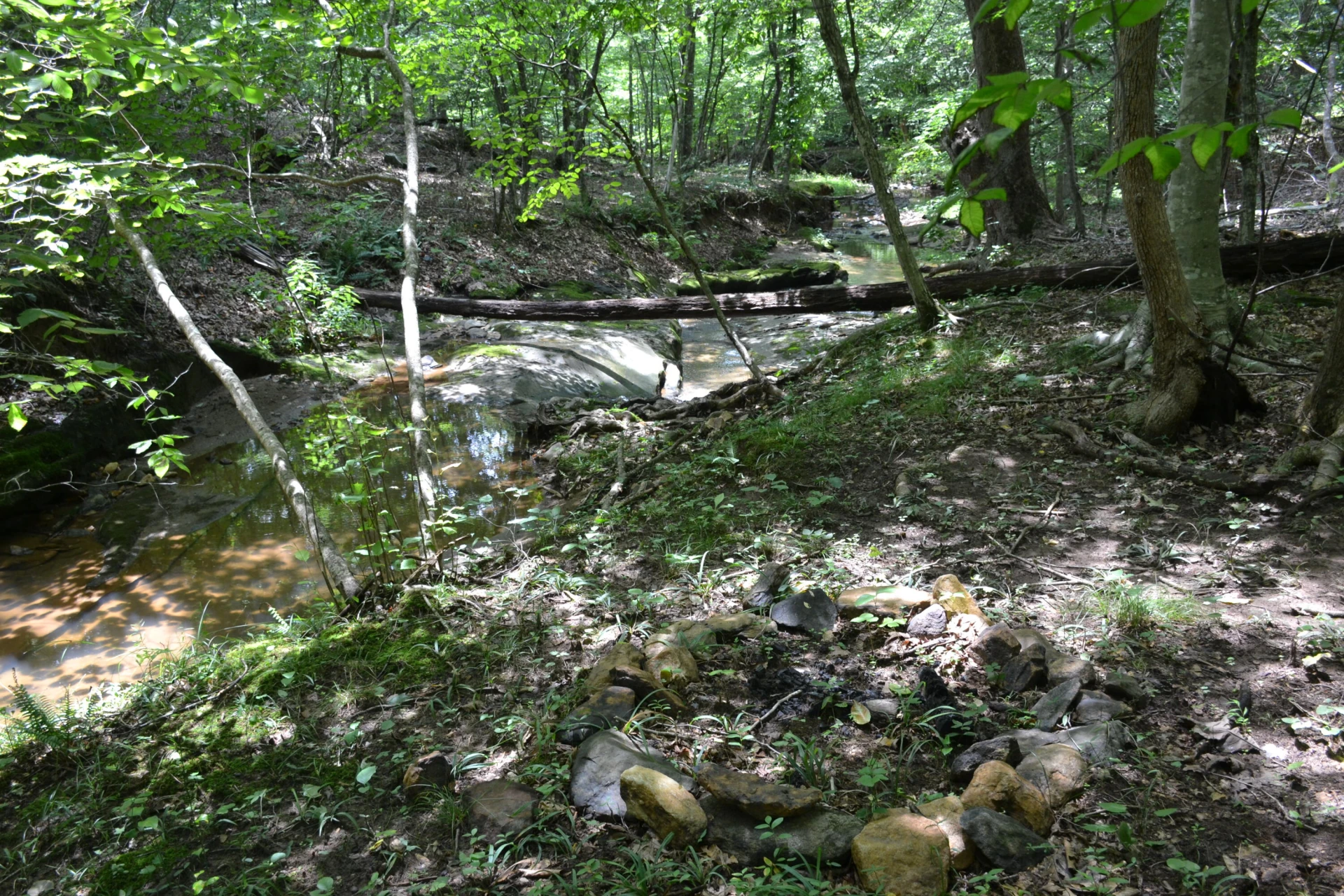 469 Tall Tree RD - Photo 30