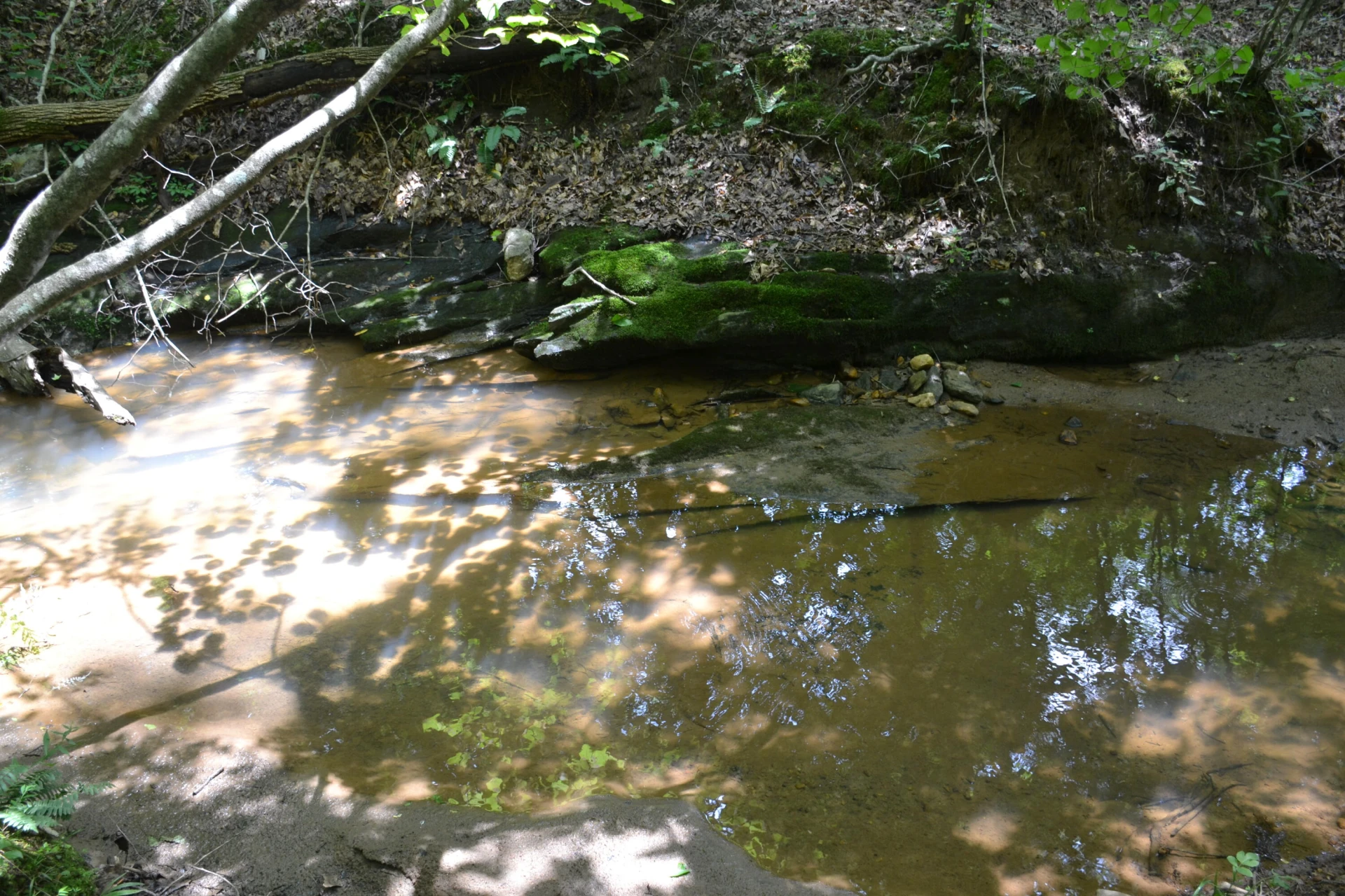 469 Tall Tree RD - Photo 31