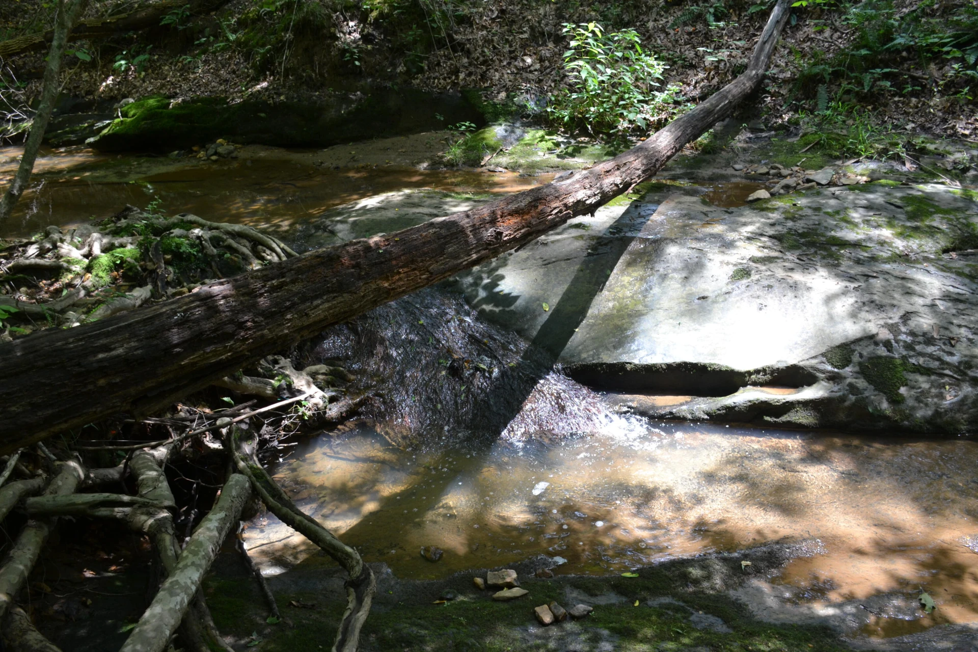 469 Tall Tree RD - Photo 32