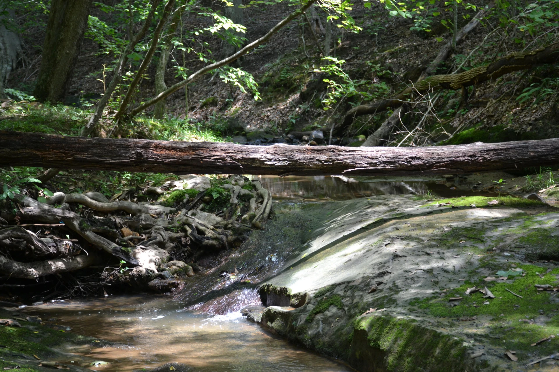 469 Tall Tree RD - Photo 36