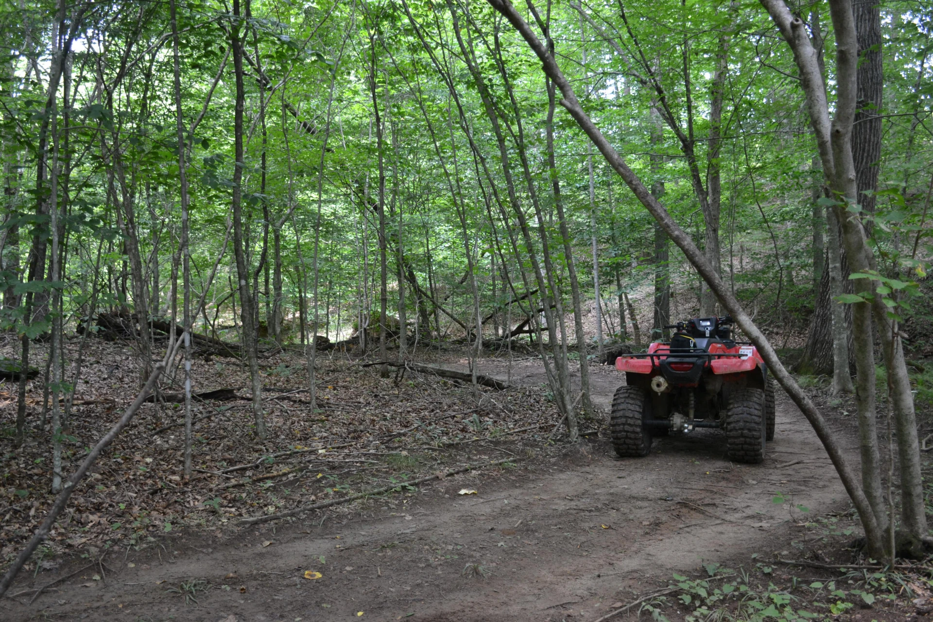 469 Tall Tree RD - Photo 37