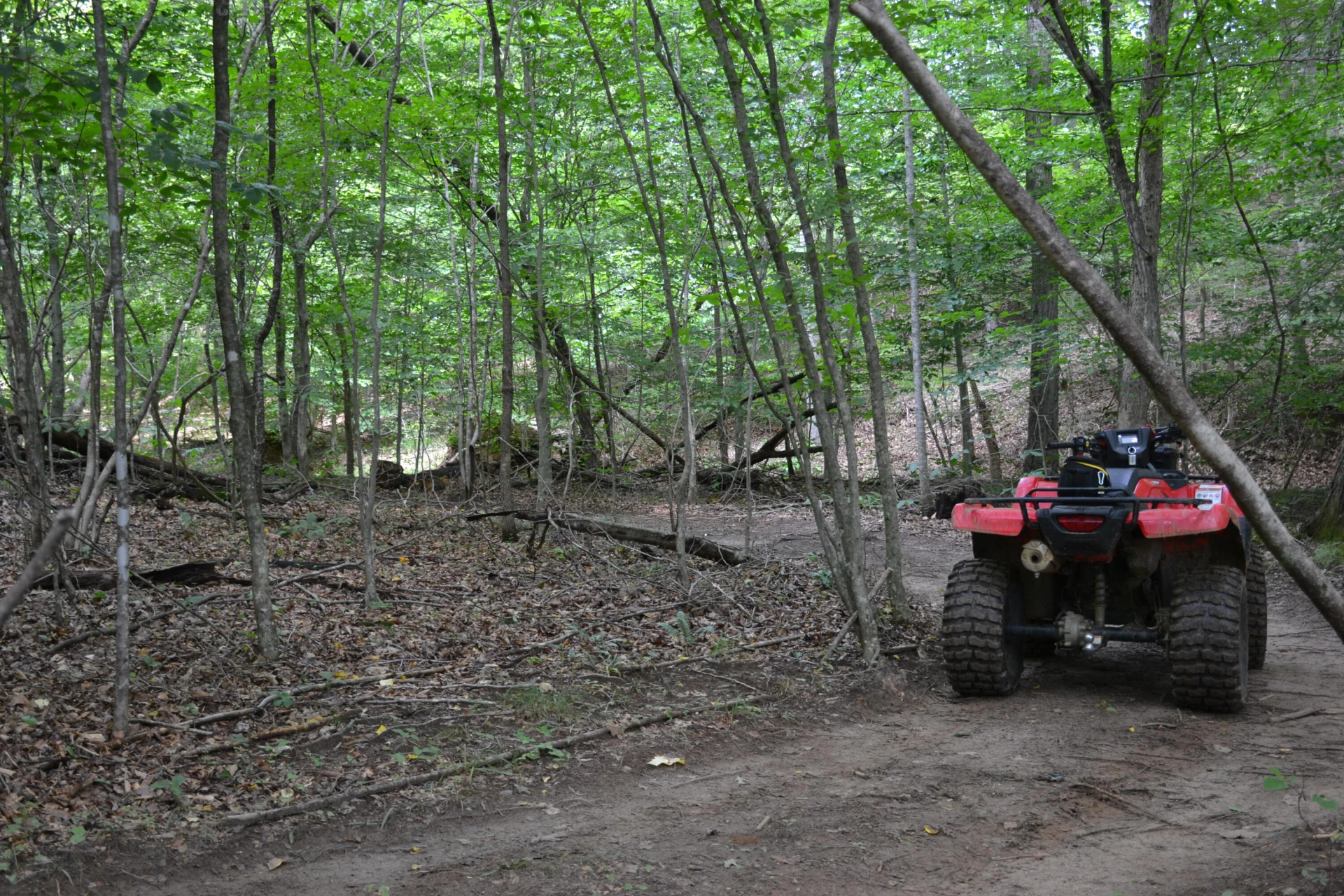 469 Tall Tree RD - Photo 38