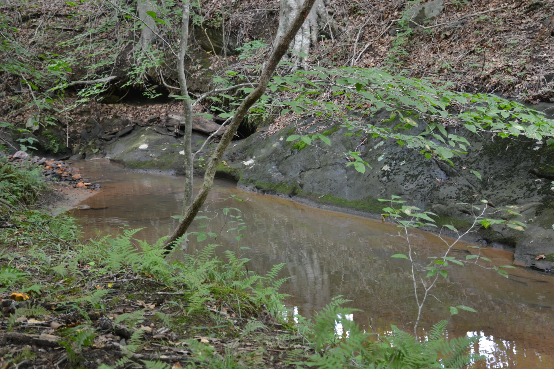 469 Tall Tree RD - Photo 40