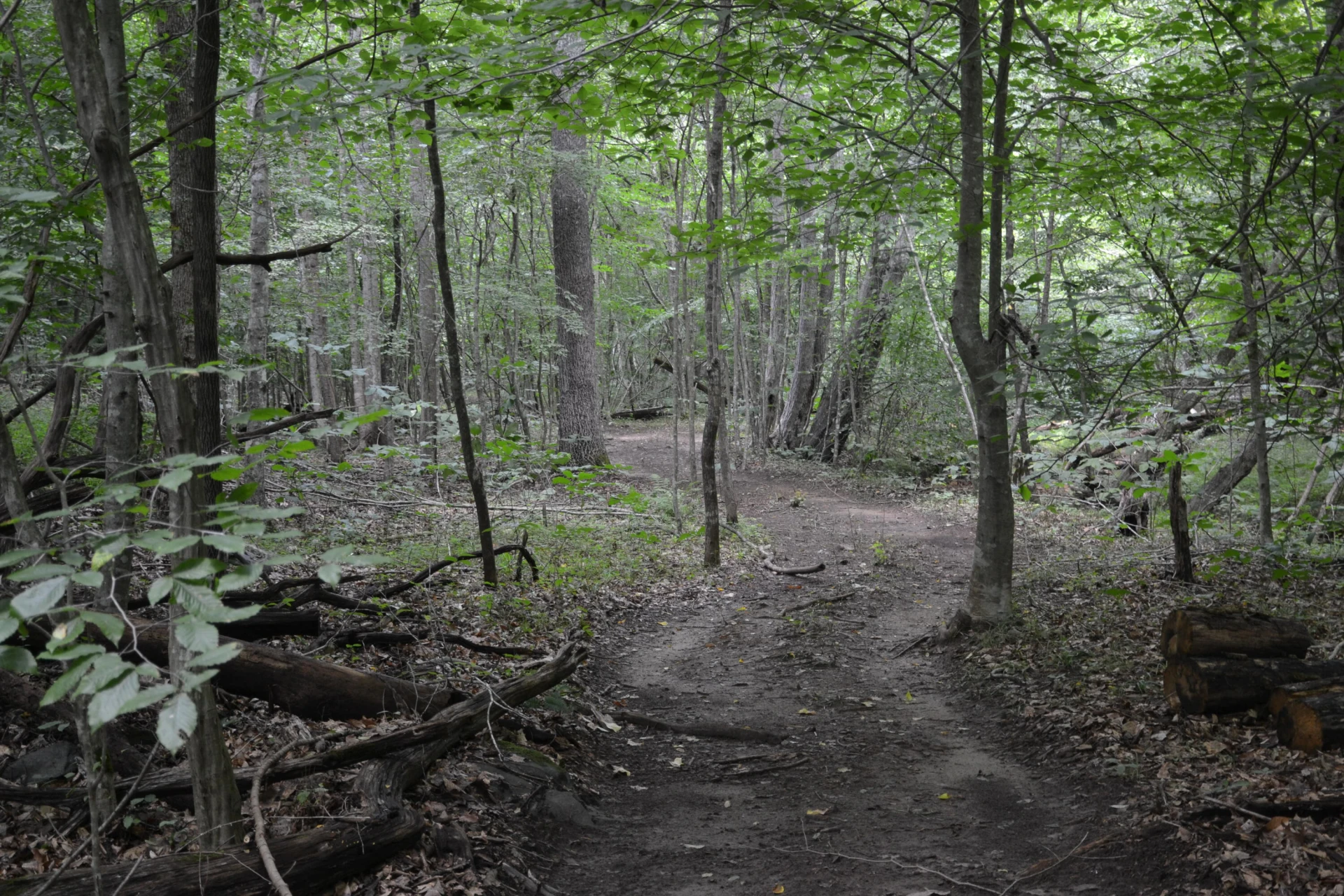 469 Tall Tree RD - Photo 41
