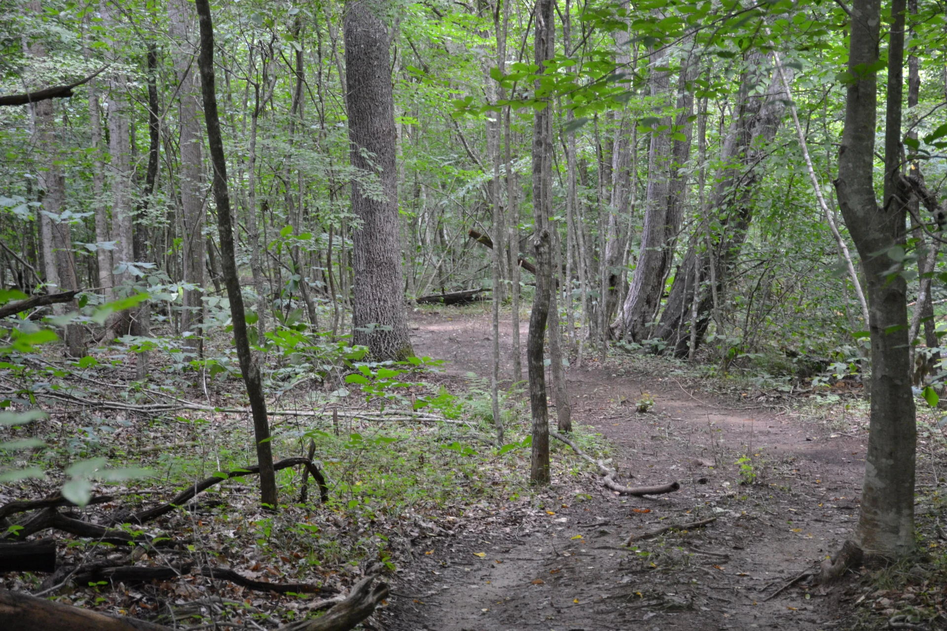 469 Tall Tree RD - Photo 42