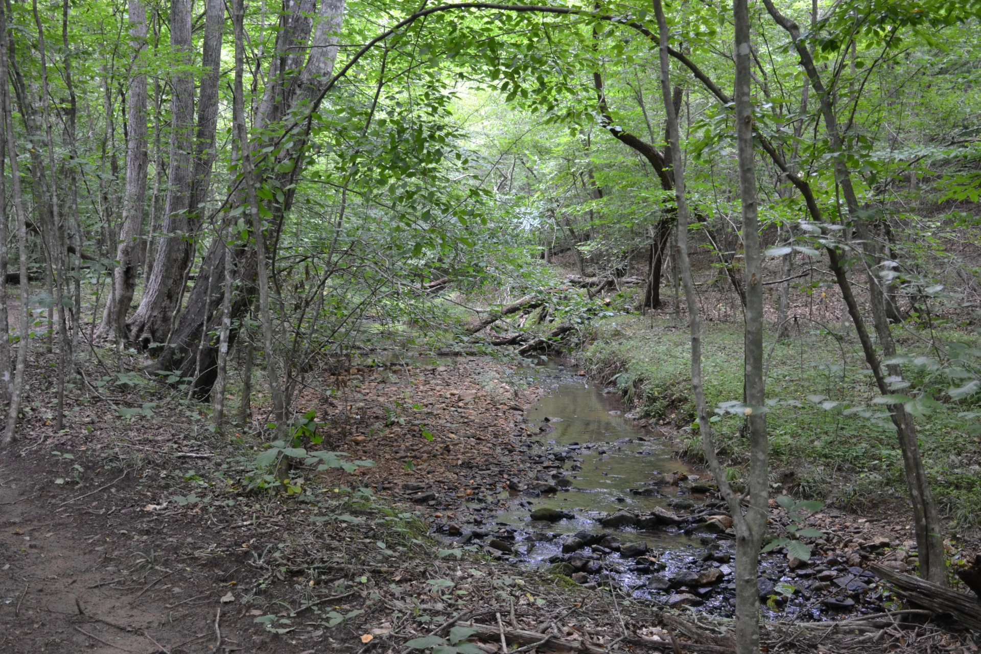 469 Tall Tree RD - Photo 43