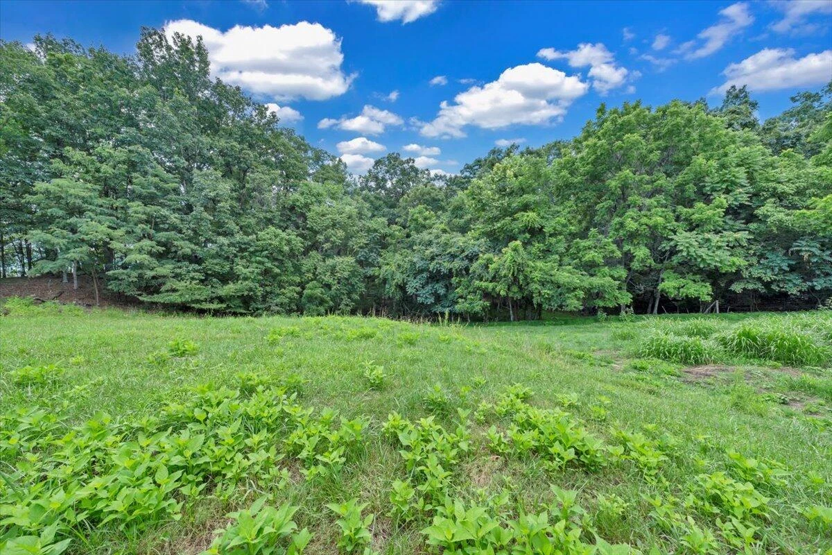 0 Healing Springs RD