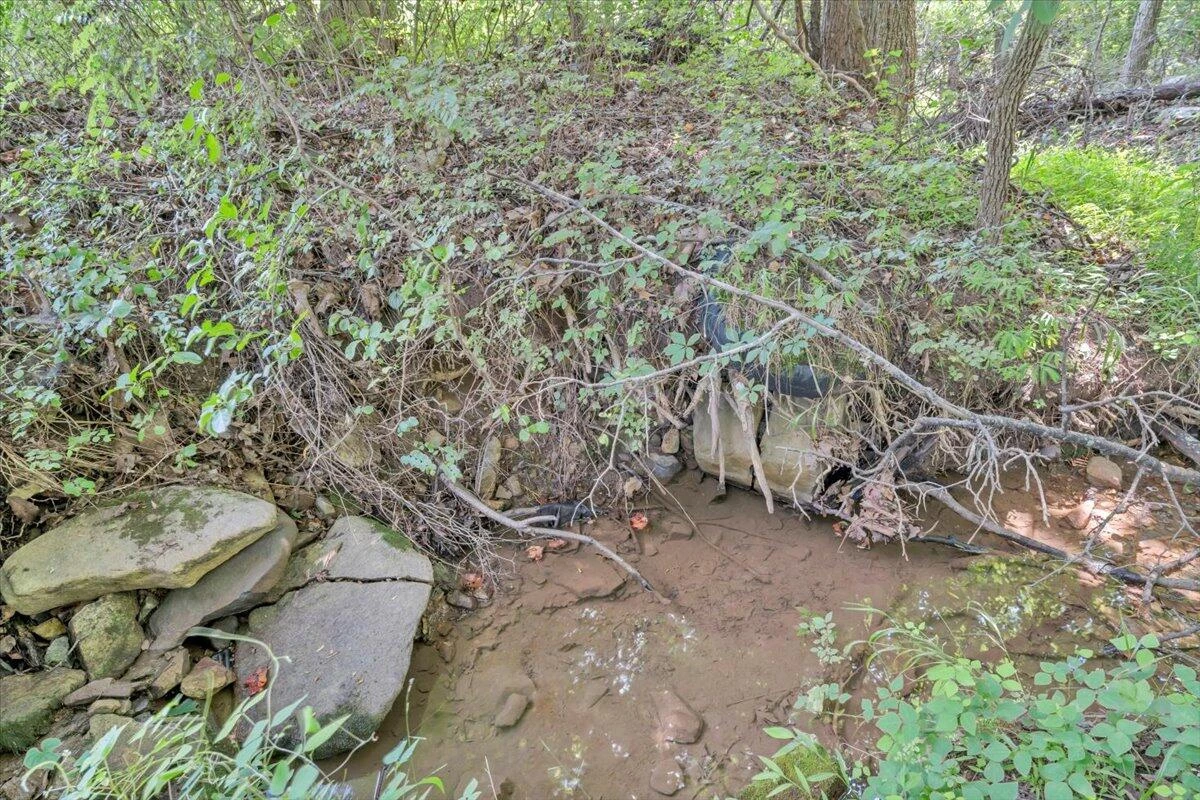 0 Healing Springs RD - Photo 2