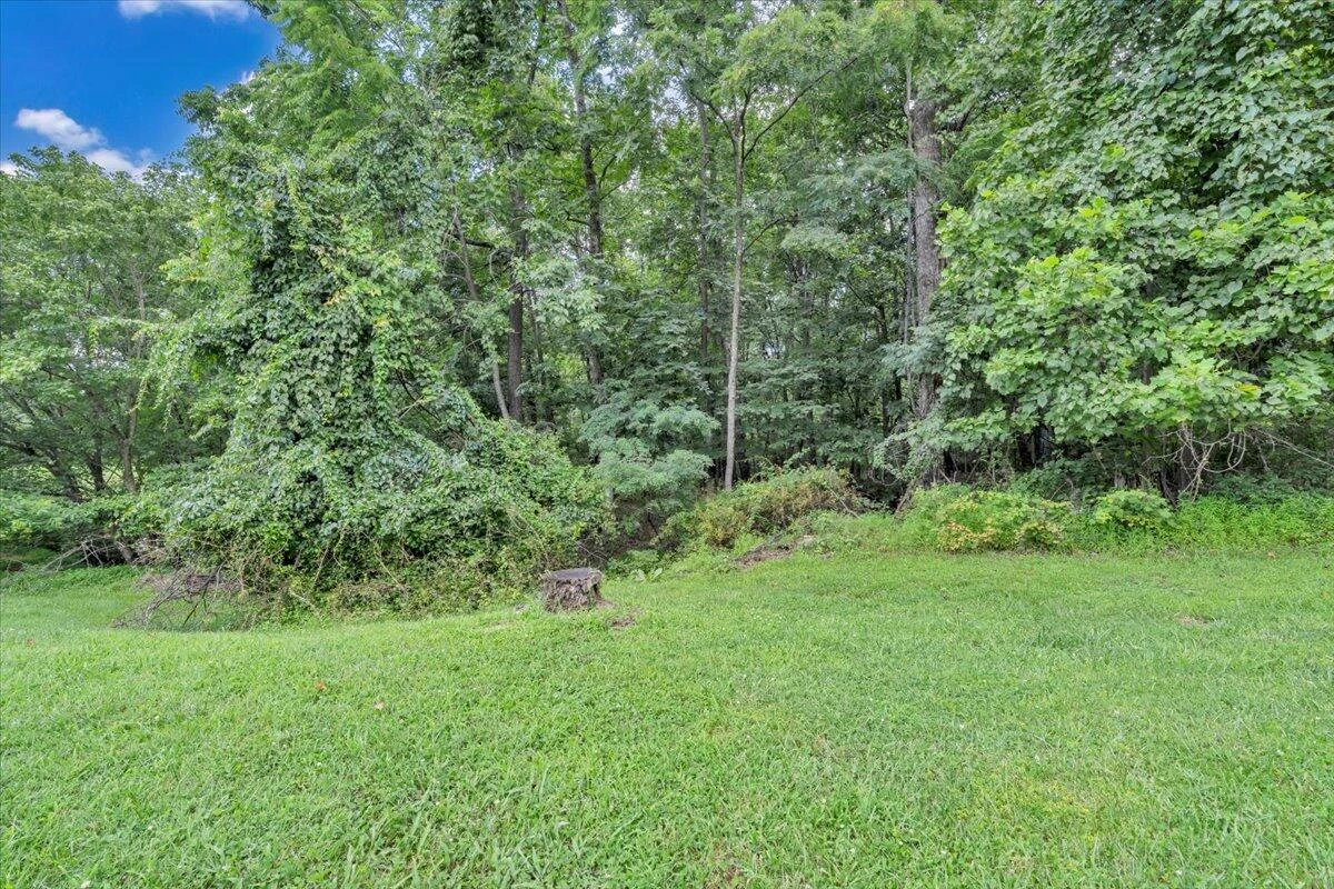 0 Healing Springs RD - Photo 3