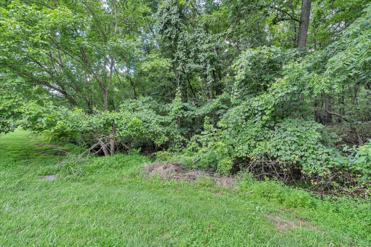 0 Healing Springs RD - Photo 4