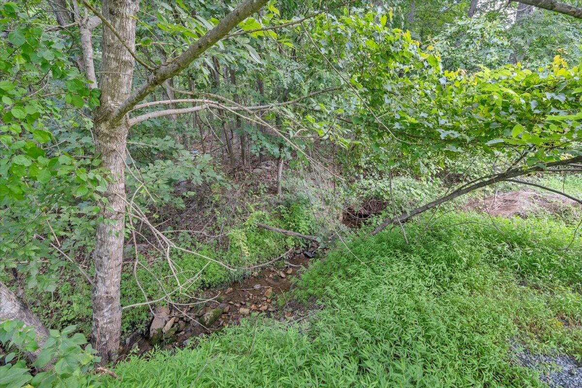 0 Healing Springs RD - Photo 5