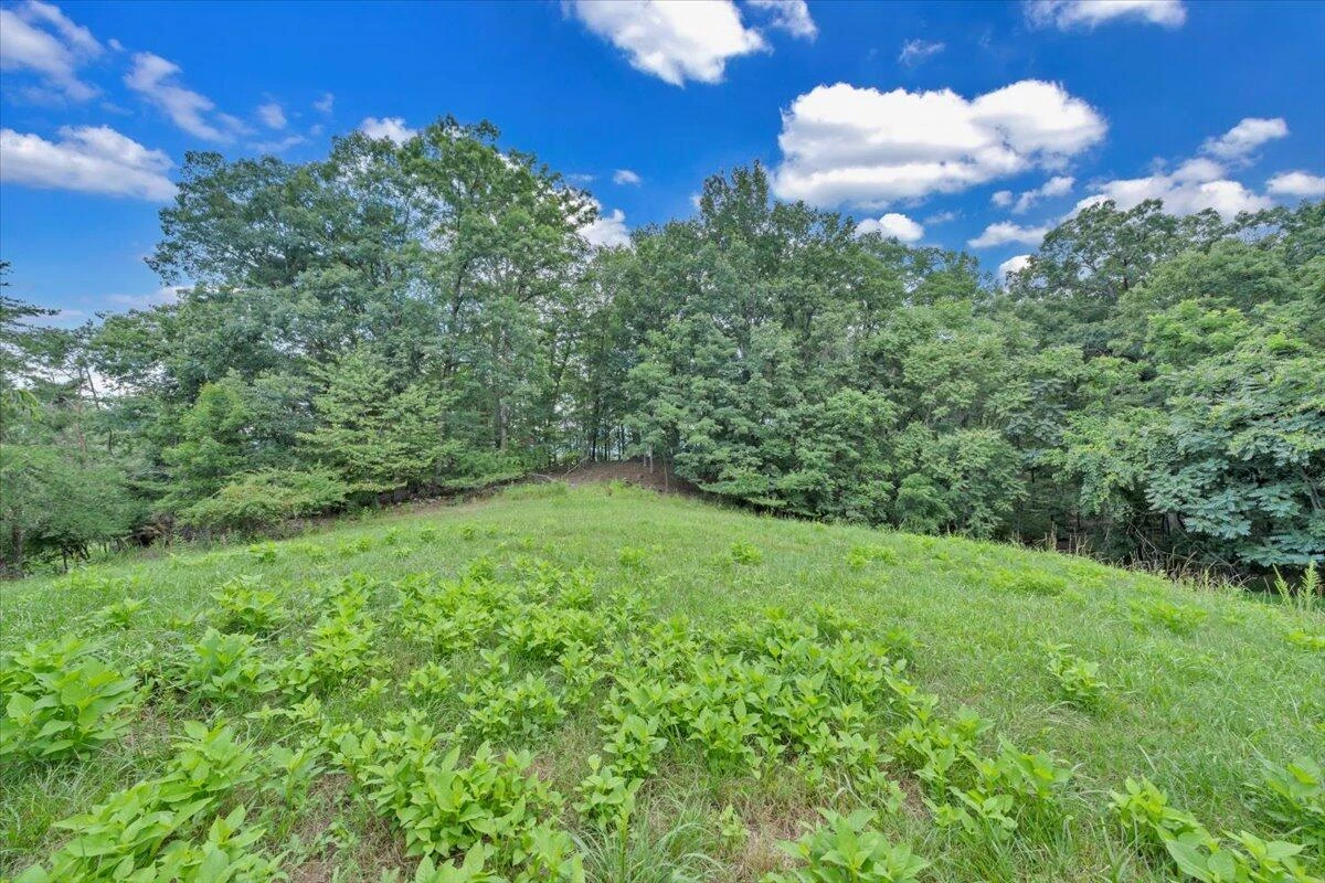 0 Healing Springs RD - Photo 6
