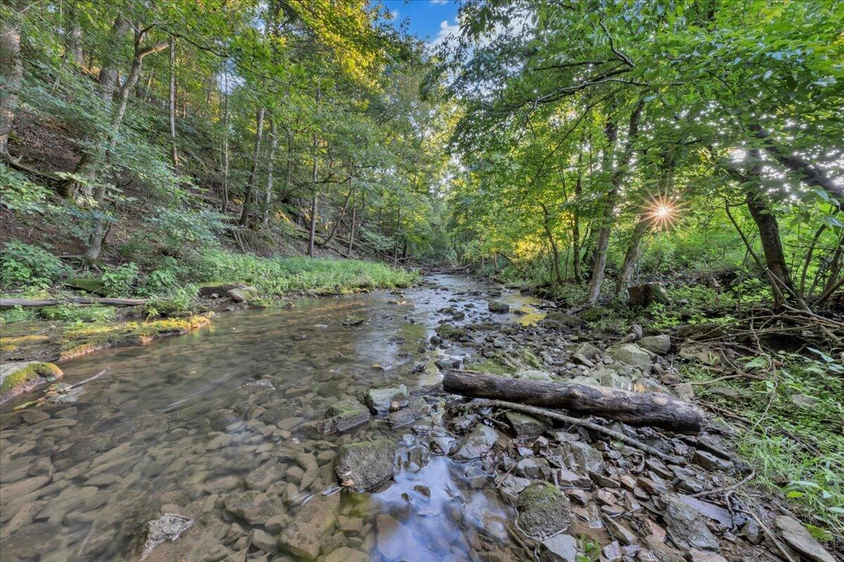 517 Boxley RD - Photo 58