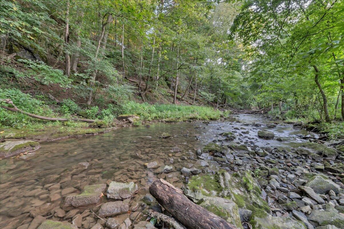 517 Boxley RD - Photo 60