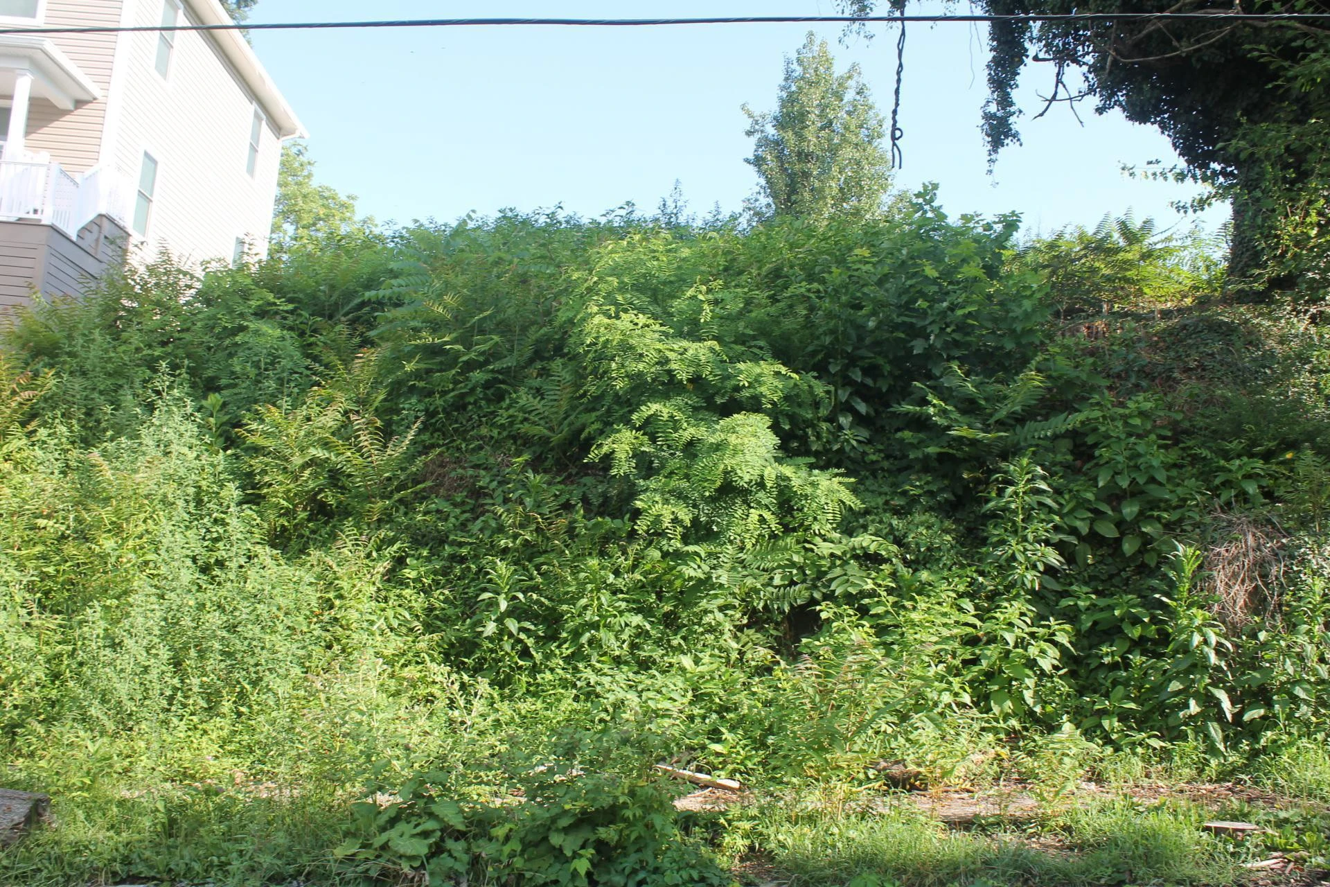0 Church AVE - Photo 5