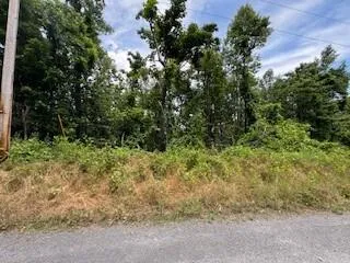 Lot 17 Whispering Heights  DR, Hardy, VA, 24101