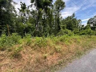 Lot 17 Whispering Heights  DR - Photo 2