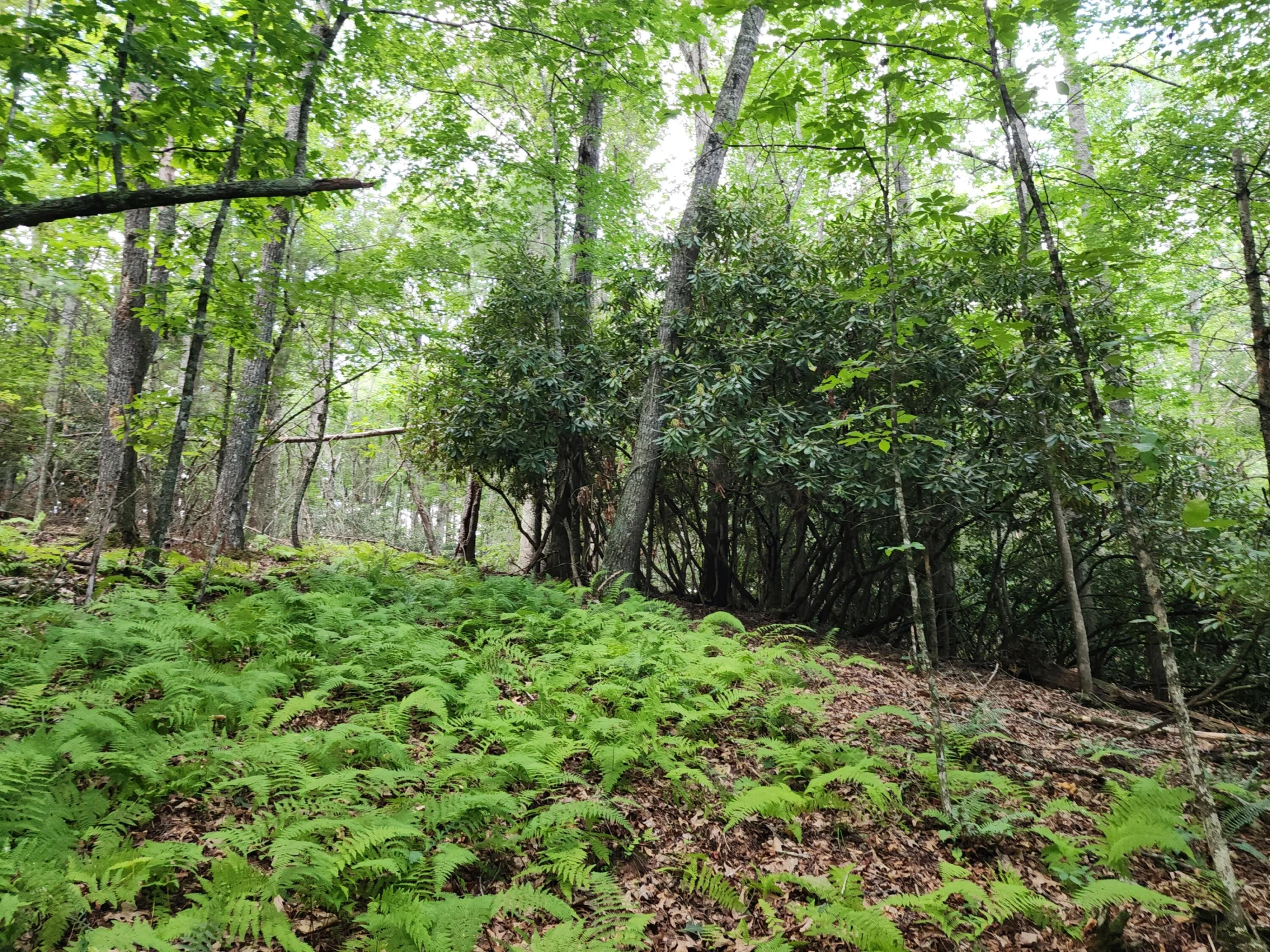 885 Music RD - Photo 47