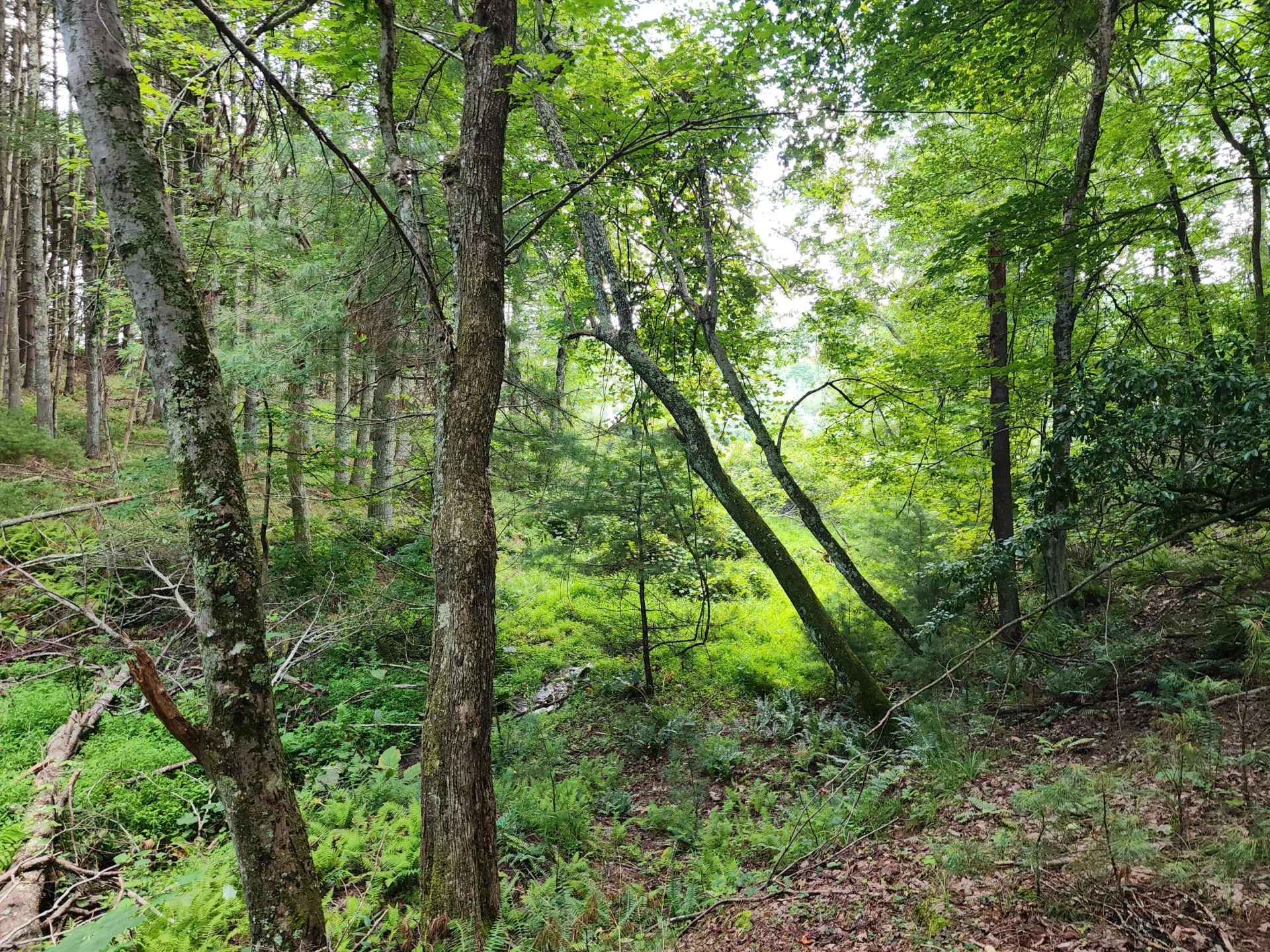 885 Music RD - Photo 48